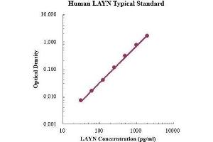 Layilin (LAYN) ELISA Kit