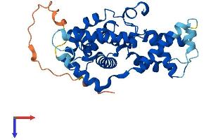Cyclin H Protein (CCNH) (AA 1-323) (His tag)
