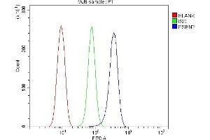 Flow Cytometry analysis of RH-35 cells using anti-Presenilin 2/AD5/PSEN2 antibody (ABIN7602796).