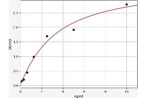 Procollagen, Type III ELISA Kit