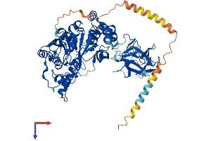 GALNT6 Protein (AA 1-622) (His tag)