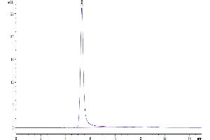 CCR2 Protein-VLP (AA 1-360)