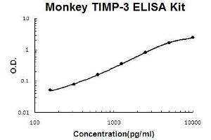 Monkey Primate TIMP-3 PicoKine ELISA Kit standard curve