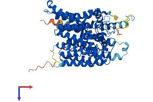 ALG8 Protein (AA 1-526) (His tag)