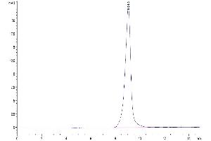 The purity of Human EMMPRIN/CD147 is greater than 95 % as determined by SEC-HPLC. (CD147 Protein (AA 22-205) (His tag))