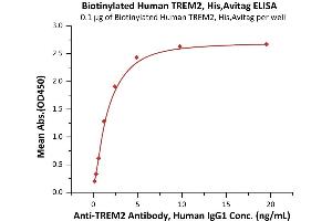 ELISA image for Triggering Receptor Expressed On Myeloid Cells 2 (TREM2) (AA 19-174) (Active) protein (His tag,AVI tag,Biotin) (ABIN6973295)
