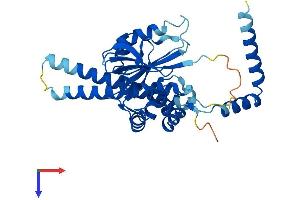 UCHL5 Protein (AA 1-329) (His tag)
