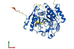 Protein Structure (PS) image for Chromosome 15 Open Reading Frame 58 (C15orf58) (AA 1-385) protein (His tag) (ABIN7547986)