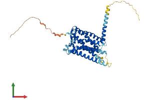 Protein Structure (PS) image for Melatonin Receptor 1B (MTNR1B) (AA 1-364) protein (His tag) (ABIN7559381)
