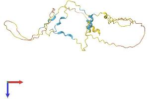 TP53INP1 Protein (AA 1-240) (His tag)