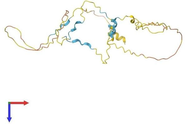 TP53INP1 Protein (AA 1-240) (His tag)