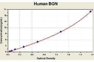 Diagramm of the ELISA kit to detect Human BGNwith the optical density on the x-axis and the concentration on the y-axis.