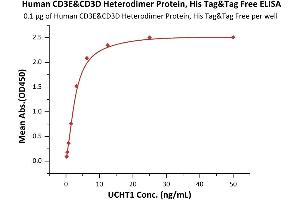 Immobilized Human CD3E&CD3D Heterodimer Protein, His Tag&Tag Free (ABIN6973000) at 1 μg/mL (100 μL/well) can bind UCHT1 with a linear range of 0.