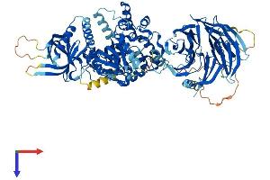 NSMAF Protein (AA 1-920) (His tag)