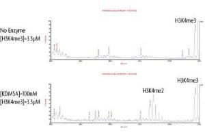 Activity Assay (AcA) image for Lysine (K)-Specific Demethylase 5A (KDM5A) protein (DYKDDDDK Tag) (ABIN2669680)