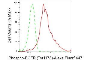 Flow cytometric analysis of Phospho-EGFR (Tyr) expression in HepG2 cells using Phospho-EGFR (Tyr) antibody (ABIN7798466), 1:2,000). (Rekombinanter EGFR Antikörper  (pTyr1173))