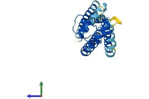 Protein Structure (PS) image for Tetraspanin 9 (TSPAN9) (AA 1-239) protein (His tag) (ABIN7558707)