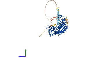 Protein Structure (PS) image for Heparan Sulfate (Glucosamine) 3-O-Sulfotransferase 3A1 (HS3ST3A1) (AA 1-406) protein (His tag) (ABIN7554127)