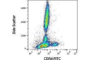 Flow cytometry surface staining pattern of human peripheral whole blood stained using anti-human CD56 (LT56) FITC antibody (4 μL reagent / 100 μL of peripheral whole blood). (CD56 Antikörper  (FITC))