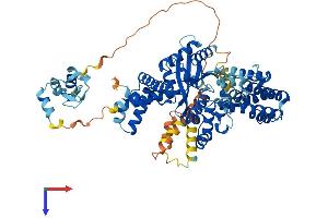 ZBED5 Protein (AA 1-693) (His tag)