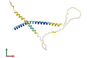 Protein Structure (PS) image for Fetal and Adult Testis Expressed 1 (FATE1) (AA 1-183) protein (His tag) (ABIN7547692)