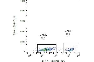 Flow cytometry analysis (surface staining) of CD4 in murine splenocytes with anti-CD4 (GK1.