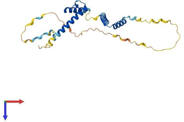 HES7 Protein (AA 1-225) (His tag)