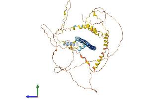 Protein Structure (PS) image for CAMP Responsive Element Binding Protein 3-Like 2 (CREB3L2) (AA 1-521) protein (His tag) (ABIN7564351)