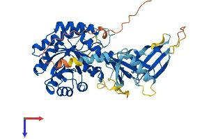 ADC Protein (AA 1-460) (His tag)