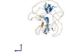 Protein Structure (PS) image for Mediterranean Fever (MEFV) (AA 1-767) protein (His tag) (ABIN7565095)