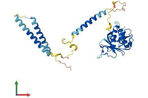 Protein Structure (PS) image for Mediator Complex Subunit 27 (MED27) (AA 1-311) protein (His tag) (ABIN7561259)