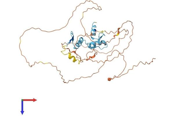KLF12 Protein (AA 1-402) (His tag)