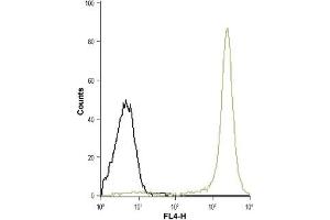 Cell surface detection of FPR1 in live intact human THP-1 acute monocytic leukemia cell line: (black line) Unstained cells + goat-anti-rabbit-Cy5. (FPR1 Antikörper  (Extracellular))