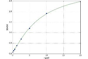 Talin 2 (TLN2) ELISA Kit