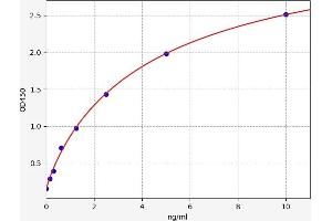 Cathepsin B (CTSB) ELISA Kit