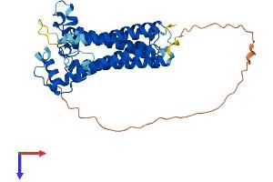 COX15 Protein (AA 1-413) (His tag)