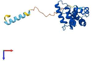 RGS5 Protein (AA 1-181) (His tag)