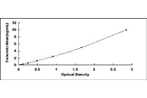 Typical standard curve (DNMT1 ELISA Kit)