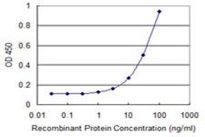 Detection limit for recombinant GST tagged CAMK1G is 1 ng/ml as a capture antibody. (CAMK1G Antikörper  (AA 1-476))
