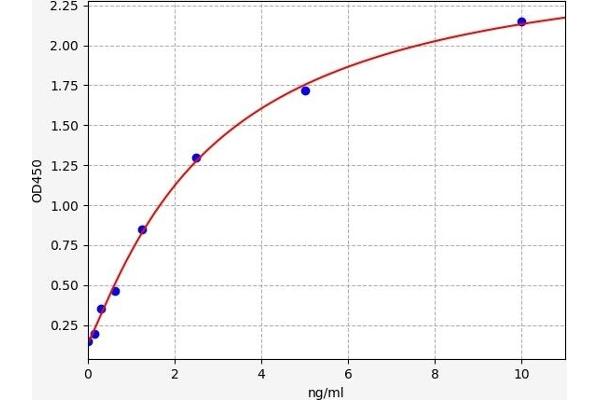 UBR4 ELISA Kit