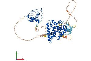 Protein Structure (PS) image for Nuclear Receptor Subfamily 2, Group F, Member 1 (NR2F1) (AA 1-423) protein (His tag) (ABIN7546709)