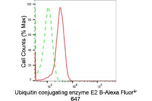 Flow cytometric analysis of Ubiquitin conjugating enzyme E2 B expression in HepG2 cells using Ubiquitin conjugating enzyme E2 B antibody (ABIN7800740), 1:2,000).