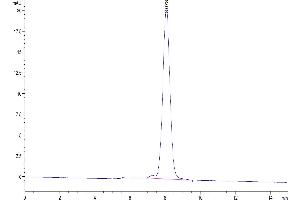 The purity of Mouse Fas/TNFRSF6/CD95 is greater than 95 % as determined by SEC-HPLC.