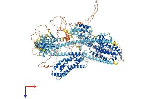 RASGRF1 Protein (AA 1-1273) (His tag)