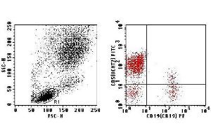 Flow Cytometry (FACS) image for anti-CD2/CD19 (CD2/CD19) antibody (FITC,PE) (ABIN2144434) (CD2/CD19 Antikörper  (FITC,PE))