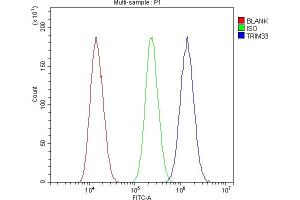 Flow Cytometry analysis of U87 cells using anti-TIF1 gamma antibody (ABIN3043492). (TRIM33 Antikörper  (AA 1001-1127))