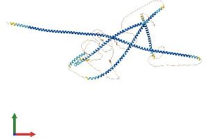 Protein Structure (PS) image for Bicaudal D Homolog 1 (BICD1) (AA 1-975) protein (His tag) (ABIN7552806)