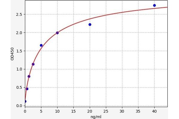 Coagulation Factor X ELISA Kit