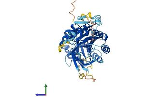 Protein Structure (PS) image for Antizyme Inhibitor 1 (AZIN1) (AA 1-448) protein (His tag) (ABIN7562327)