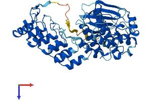 ILK Protein (AA 1-452) (His tag)